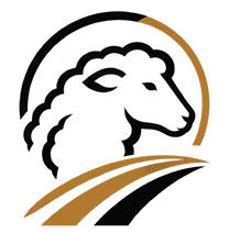 rodaction image ovin assistance